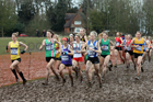 Senior womens 2018 British Inter Counties Cross Country Champs., Prestwold Hall, Loughborough. Photo: David T. Hewitson/Sports for All Pics